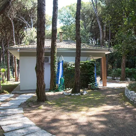 Pine-front Steps From The Pensionat Eraclea Mare