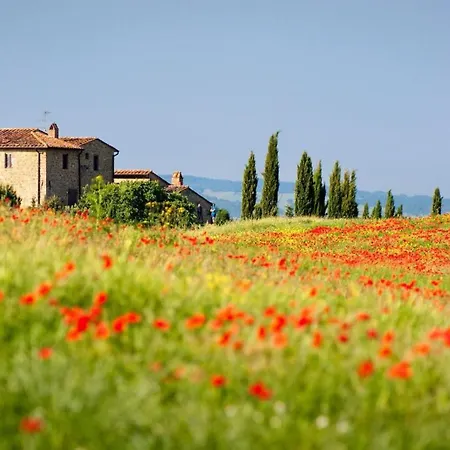 Pine-front Steps From The Maison d'hôtes 3*