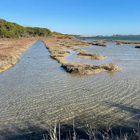 Pine-front Steps From The Eraclea Mare