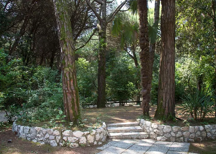 Pine-front Steps From The Affittacamere