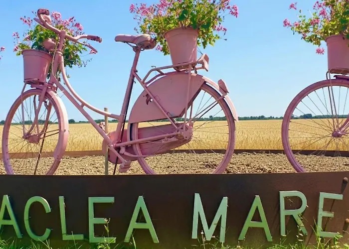 Pine-front Steps From The 3*