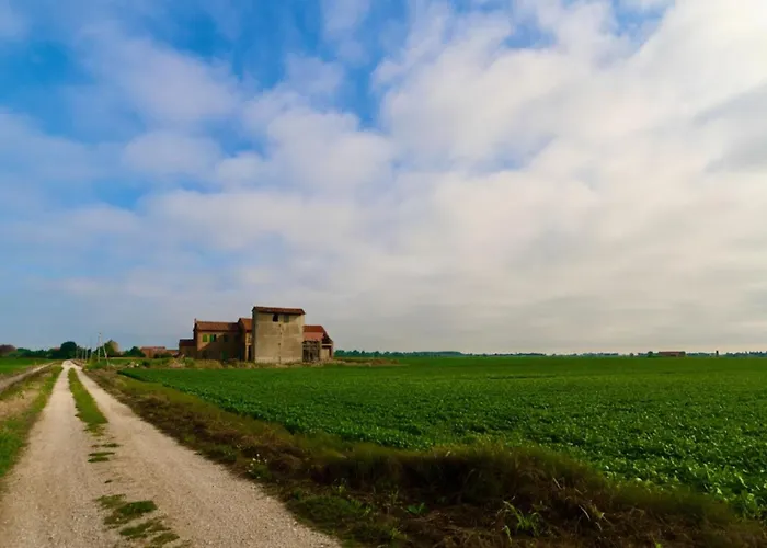 Pine-front Steps From The Affittacamere Eraclea Mare