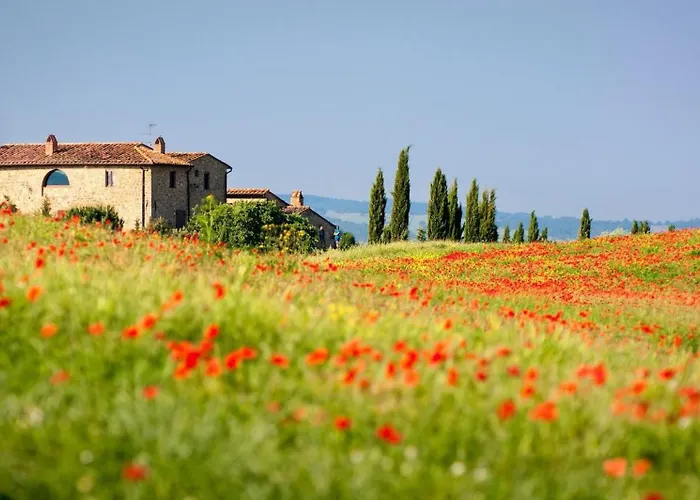 Pine-front Steps From The Affittacamere 3*