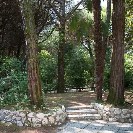Pine-front Steps From The בית הארחה