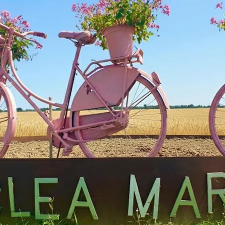 Pine-front Steps From The 3*