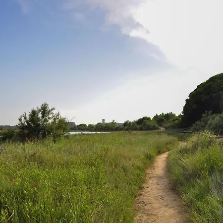 Pine-front Steps From The 3* Eraclea Mare