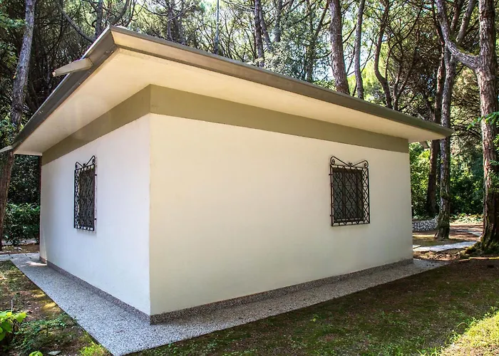 Pine-front Steps From The Pensjonat