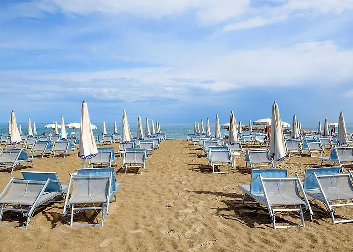 Pine-front Steps From The Гостевой дом Эраклея-Маре