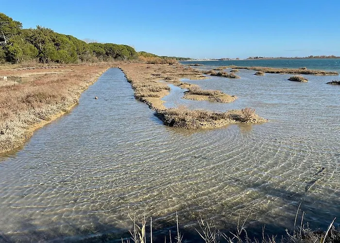 Pine-front Steps From The Eraclea Mare